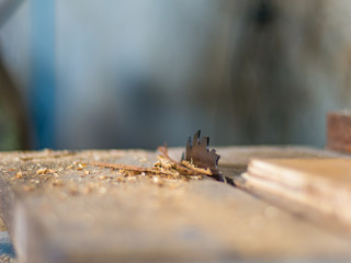 Wood cutter blade on the table in factory