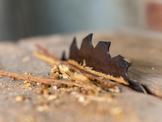 Wood cutter blade on the table in factory
