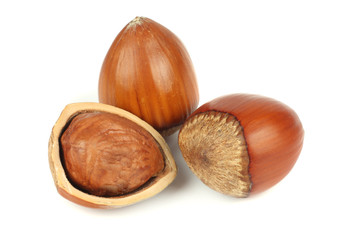 hazelnut isolated on white background