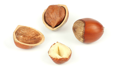 hazelnut isolated on white background