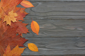 autumn background with colored leaves on wooden board. top view with copy space