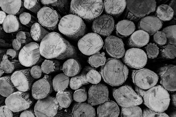 Closeup of chopped firewood pile for winter. Tomography for gray chopped log background.