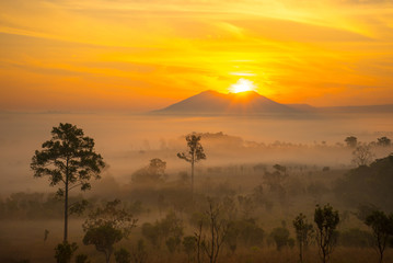 Dramatic fog, sunrise with beautiful vivid and romantic golden sky at Thung Sa Lang Luang, between Phitsanulok and Petchabun, Thailand.