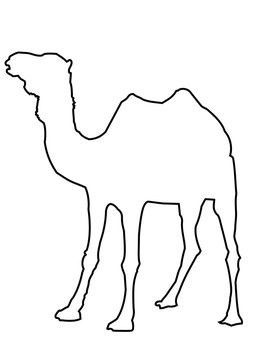 Camel Outline Picture