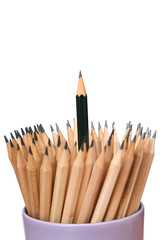 green pencil case art isolated on white background concept  idea leadership and term work  grow organization business