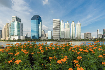 Cityscape view of buildings with Yellow flowers and Blue sky, clouds background at Benjakitti Park, Bangkok, Thailand