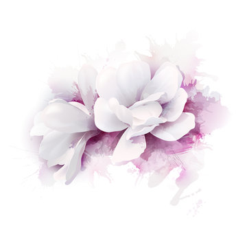 Illustration of two white beautiful Magnolias, Spring elegant flowers depicted on the watercolor lilac background.