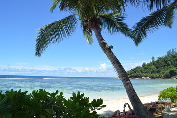 Naklejka premium sea of seychelles