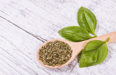 Fototapeta na wymiar Fresh and dried basil plant for healthy cooking, herbs and spices.