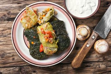 Vegetarian cabbage rolls on plate