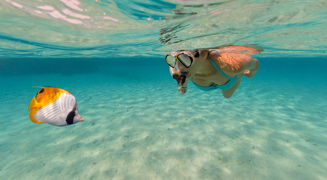 Snorkeling Woman Exploring Beautiful Ocean Sealife, Underwater Photography.