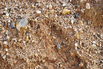 Texture of wet sand with small stones