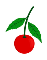 Cherry Vector