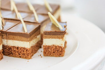 Delicious coffee cake on white plate, Close up with copy space and text.