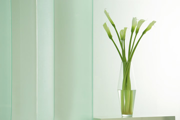 vase of calla lily