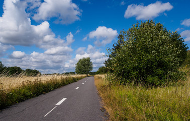 Bicycle road in nature
