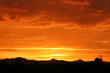 Yellow gold sky evening In tropical countries summer,Halloween day