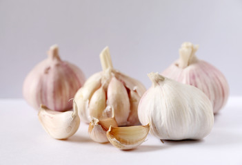 Garlic on white background