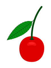 Red Cherry Vector