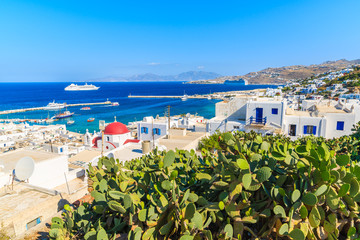 Green cacti plants in foreground and typical Greek white church with red dome in Mykonos port, Mykonos island, Cyclades, Greece © pkazmierczak