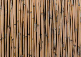 Bamboo sticks as background