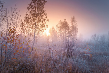 Beautiful autumn sunrise landscape with hoarfrost on the grass.