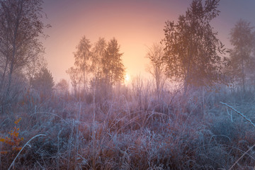 Beautiful autumn sunrise landscape with hoarfrost on the grass.