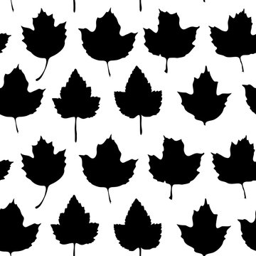 Vector seamless background with maple leaves  for fashion textile or web background. Black silhouette on white background. Vector