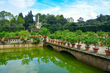Fototapeta premium Boboli Gardens