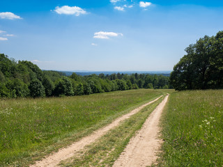 Fototapeta na wymiar Path through the meadow, Czech republic