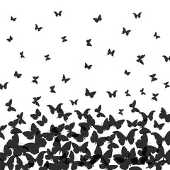 Fototapeta na wymiar spring summer card design. banner, black butterfly on white background. Vector