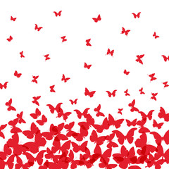 spring summer card design. banner, red  butterfly on white background. Vector