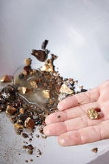 Detail of hand with golden nuggets found by today prospector in sand of creek