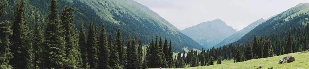 Fototapety  Panorama doliny górskiej