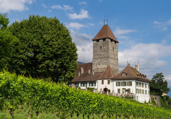 Castle, Spiez