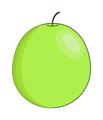 Green Grape Vector