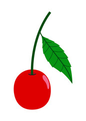 Cherry Vector Illustration