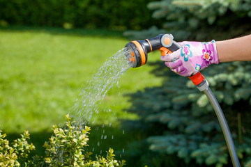 Young woman watering in the garden.