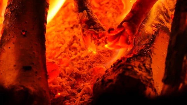 Dark live coals. Burning hardwood in detail. Burning woods shiver in hot air and gentle flames fluorescing. White ash covers the burning pieces of wood. 