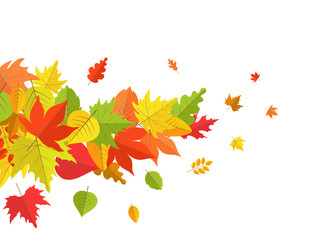 flying autumn leaves isolated on white background