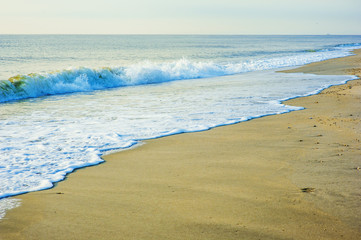 Sandy Hook Beach, New Jersey, USA