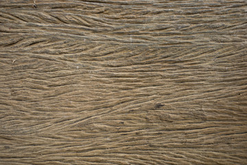 Old wood texture