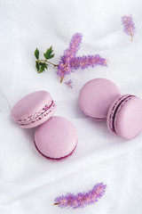 Purple macarons with BlackBerry. French delicate dessert for Breakfast