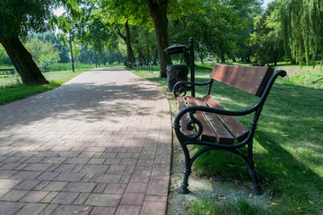 Wooden bench in a green park next to a foot path
