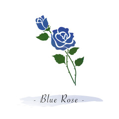 Colorful watercolor texture vector botanic garden flower blue rose
