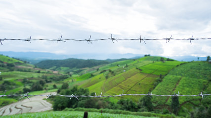 Barbed wire barricaded farm field on the mountain