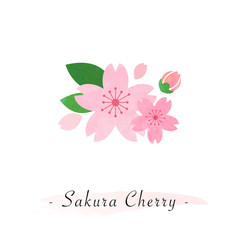 Colorful watercolor texture vector botanic garden flower pink sakura cherry blossom