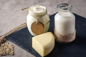 Eco farm products milk, cheese, sour cream, yogurt on dark wooden background. Concept of home made natural food