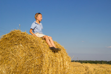 Naklejka na ściany i meble Sitting in the hay