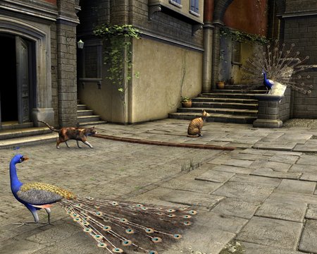 Cats and Peacocks on a Mediterranean Street - illustration